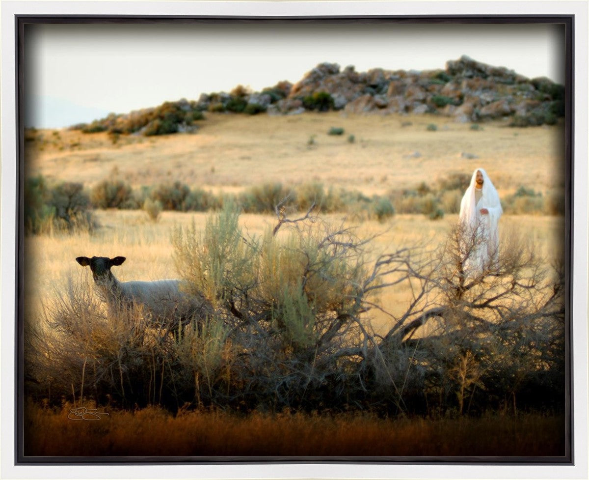 In Search of the One Gallery Wrap