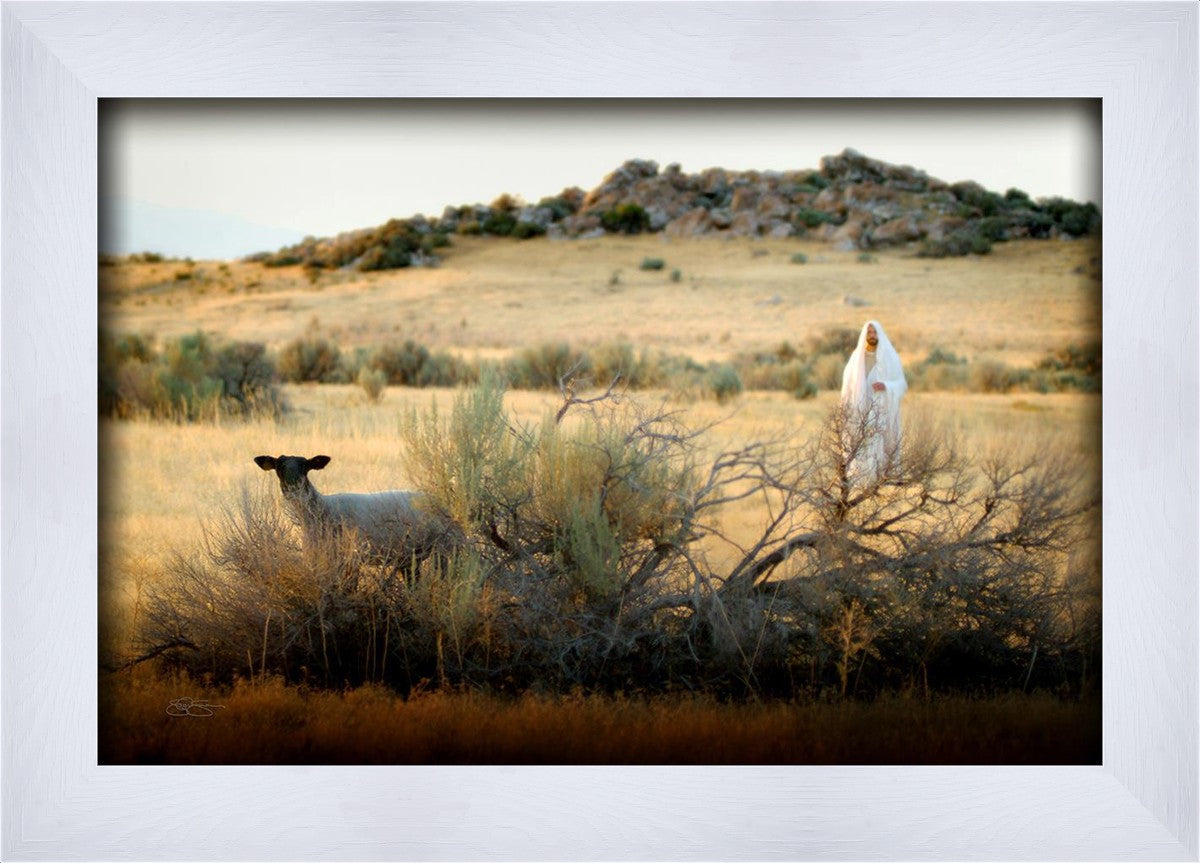 In Search of the One