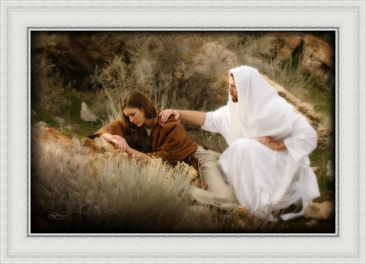 The Comforter