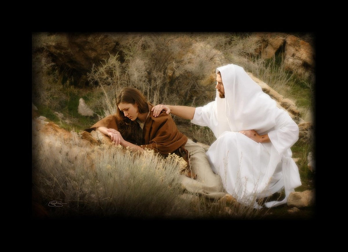 The Comforter