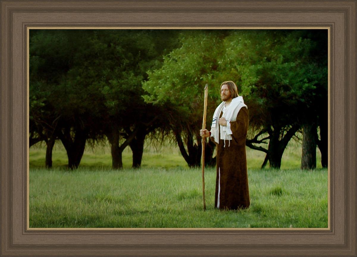Lord Of The Vineyard