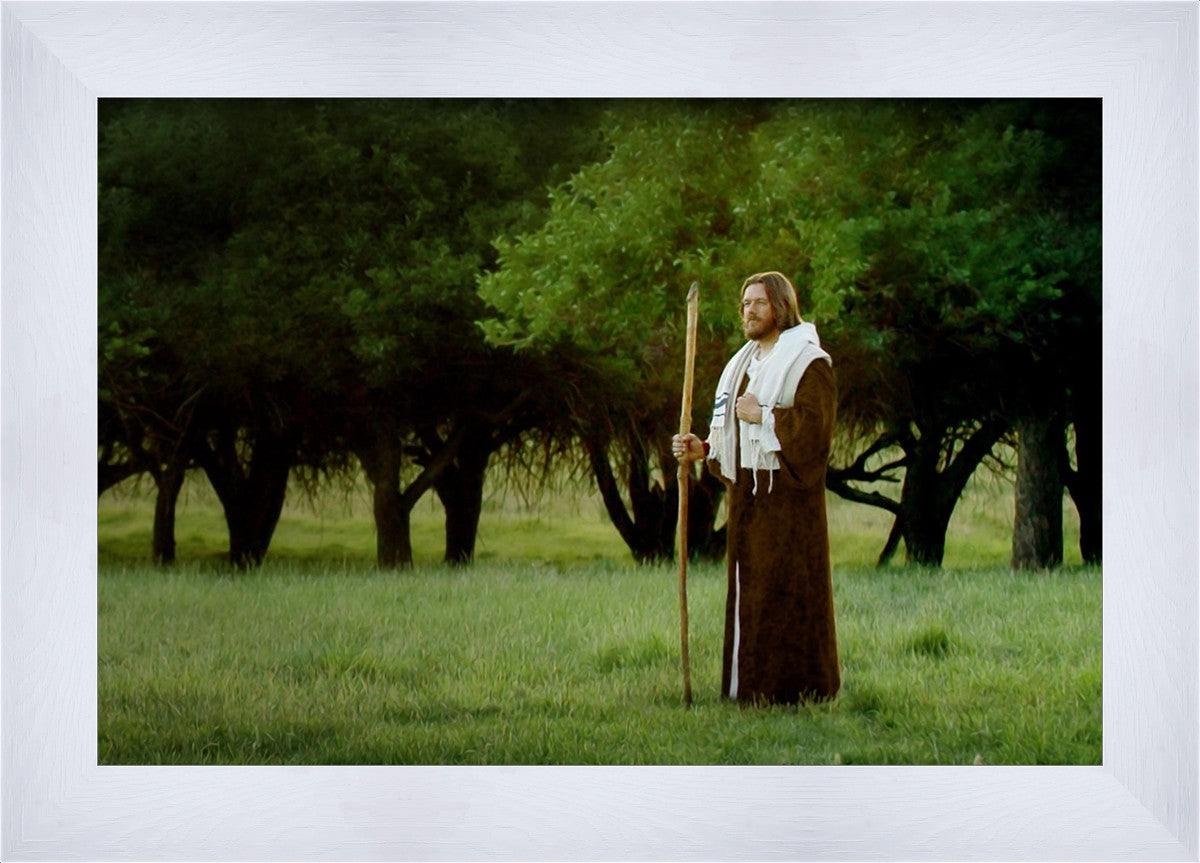 Lord Of The Vineyard