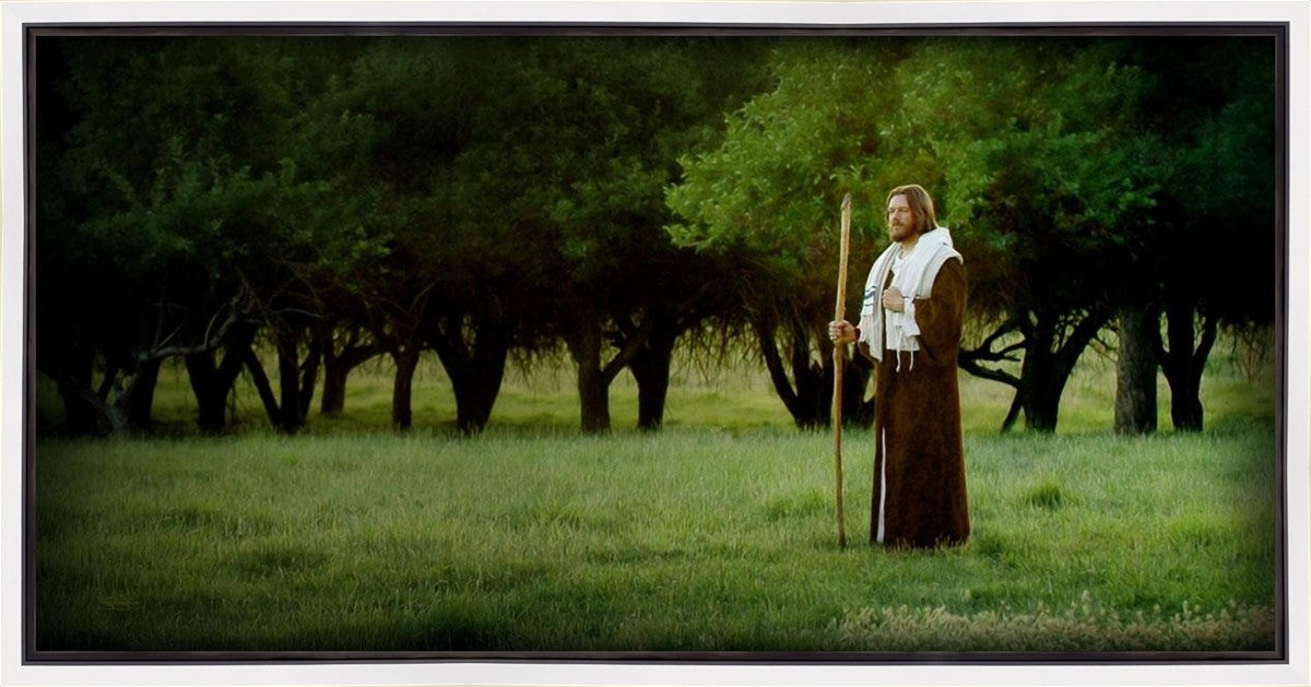 Lord Of The Vineyard Gallery Wrap