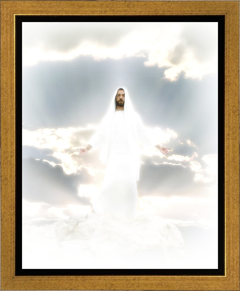 Behold Gallery Wrap