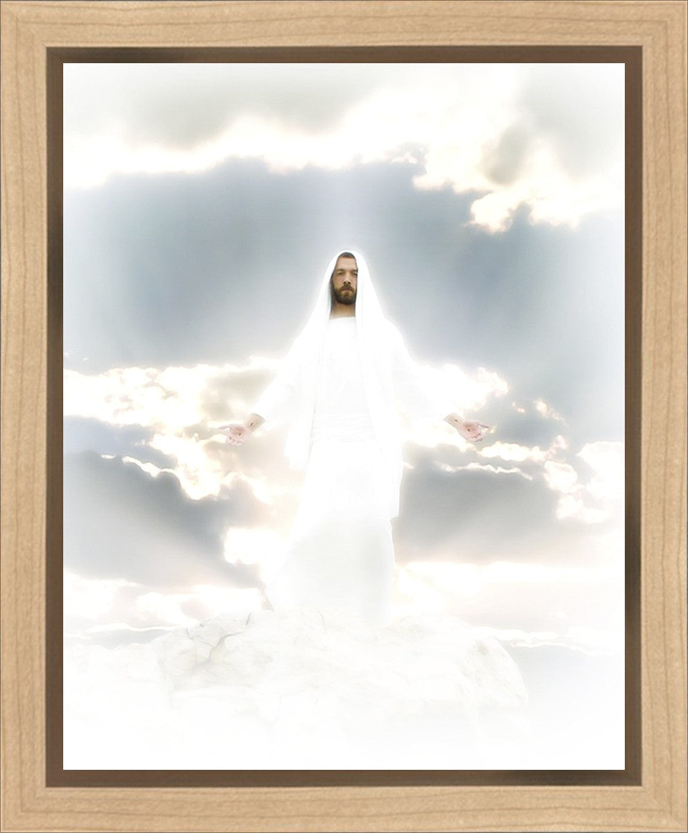Behold Gallery Wrap