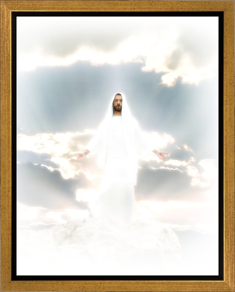Behold Gallery Wrap
