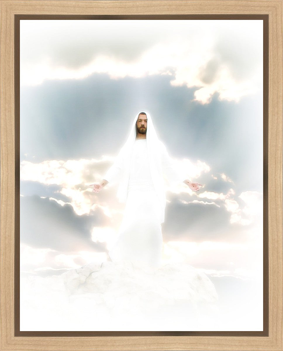 Behold Gallery Wrap