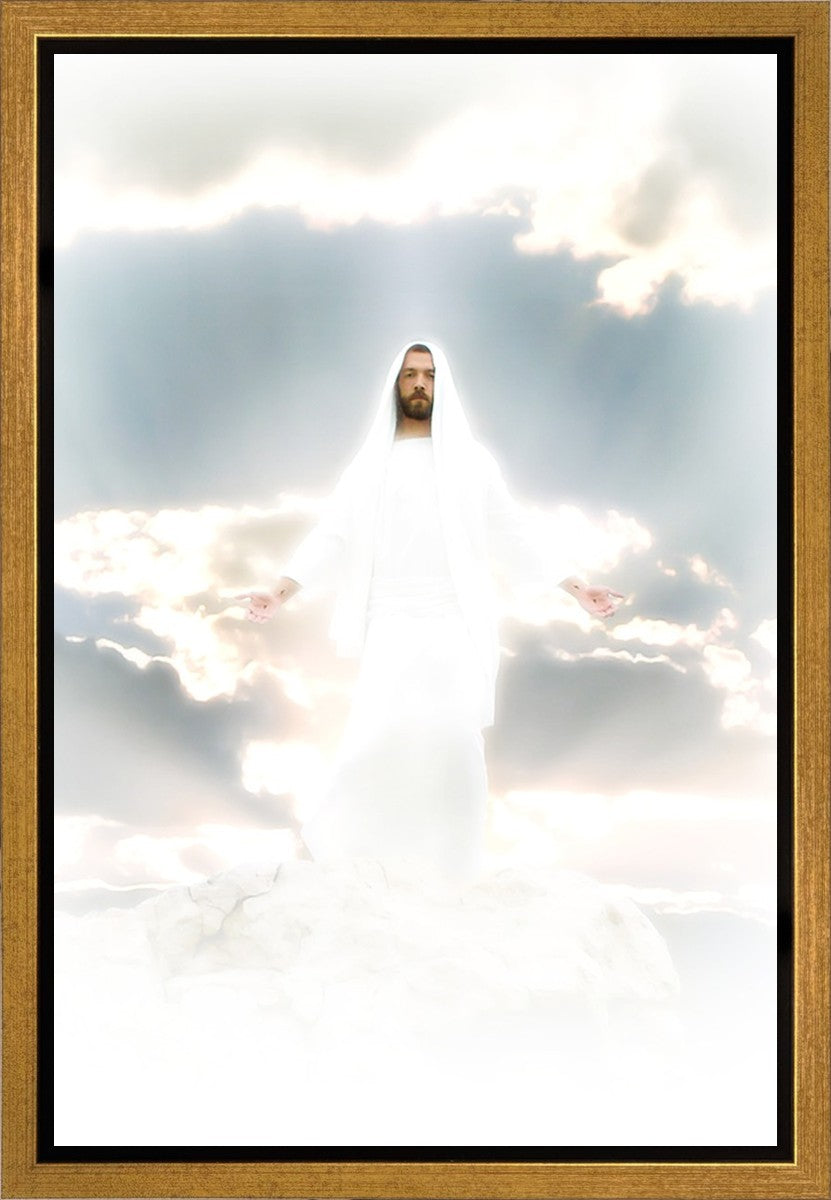 Behold Gallery Wrap
