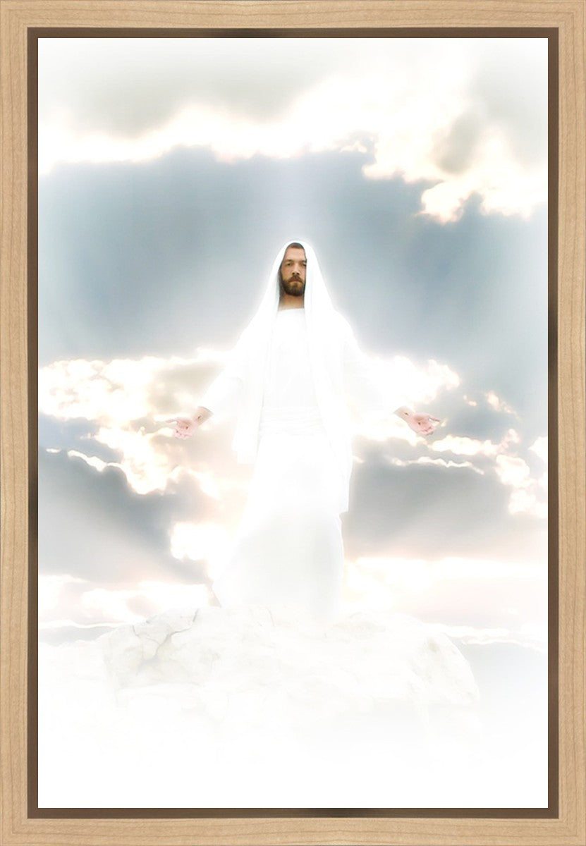 Behold Gallery Wrap