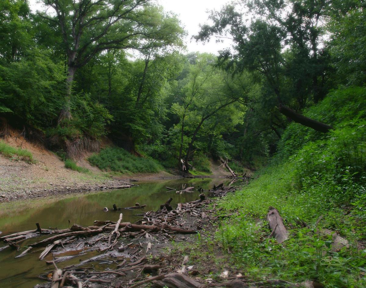 The Creek_Hauns Mill