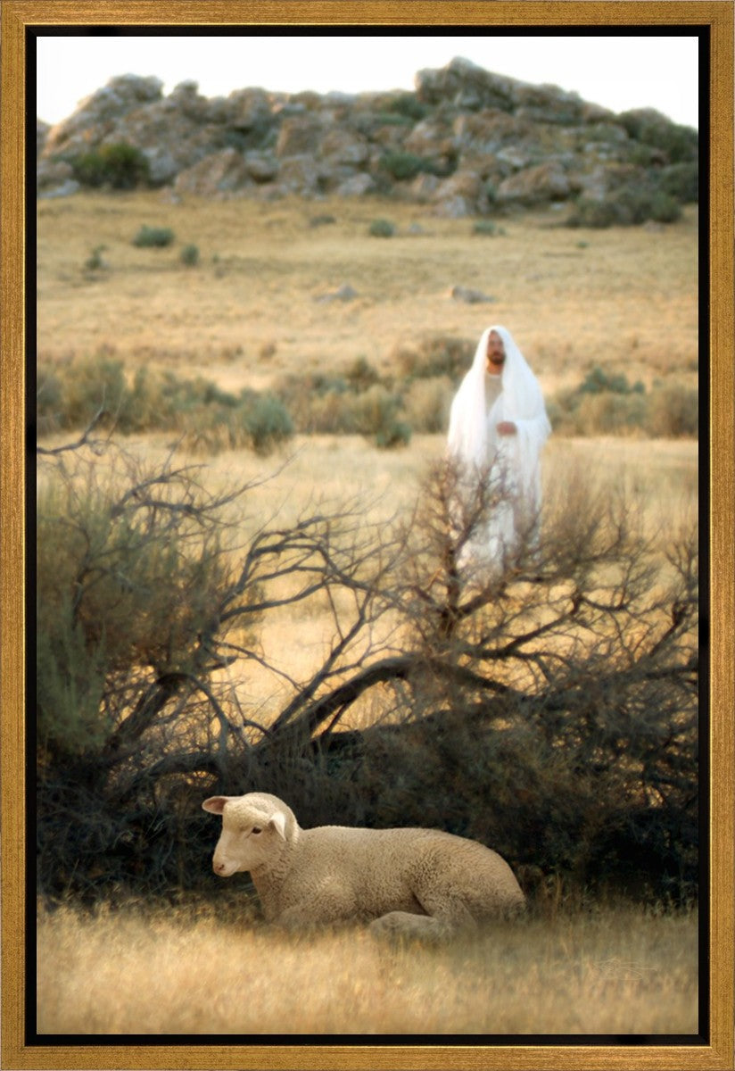 He Will Find Me Gallery Wrap
