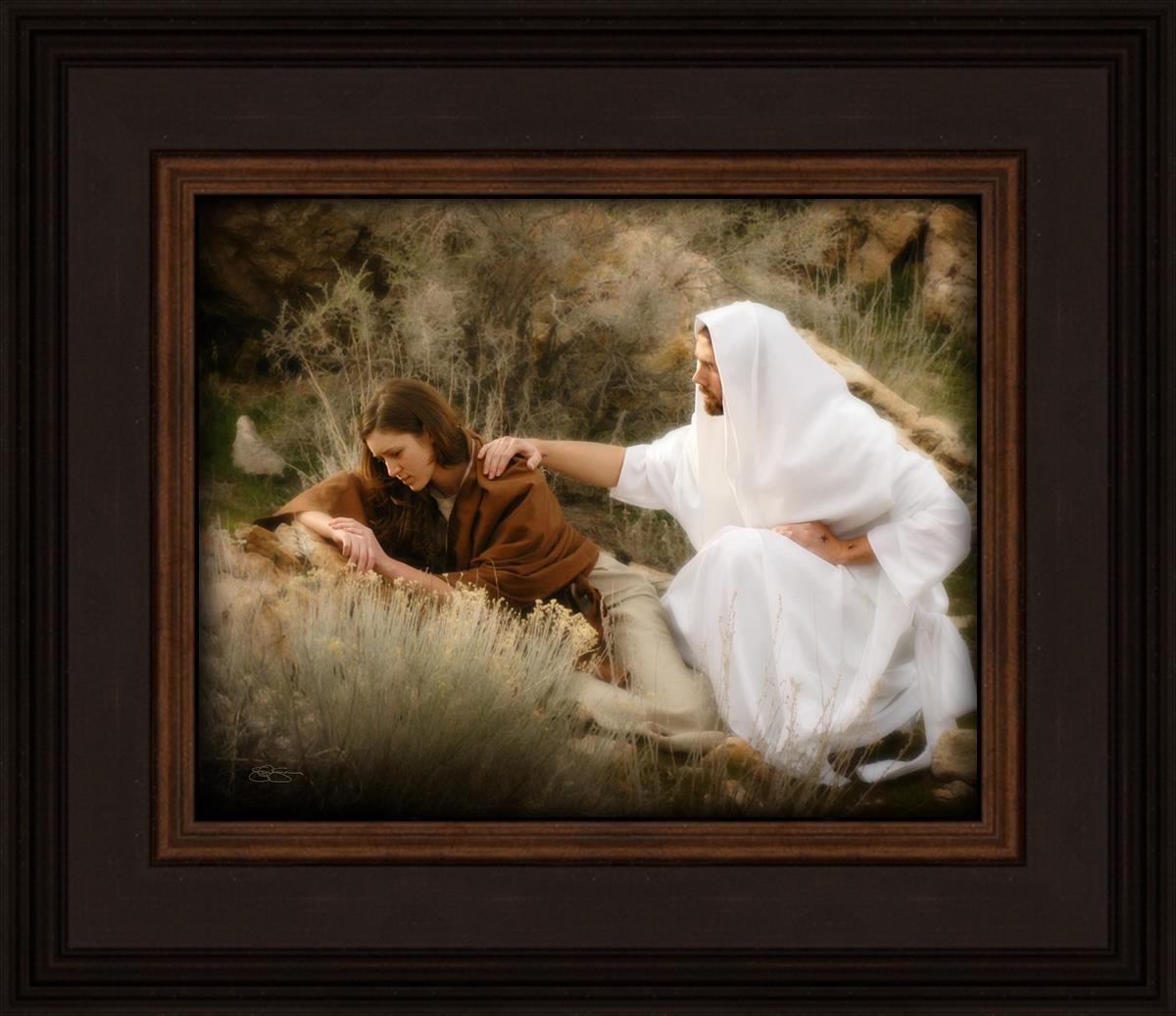 The Comforter