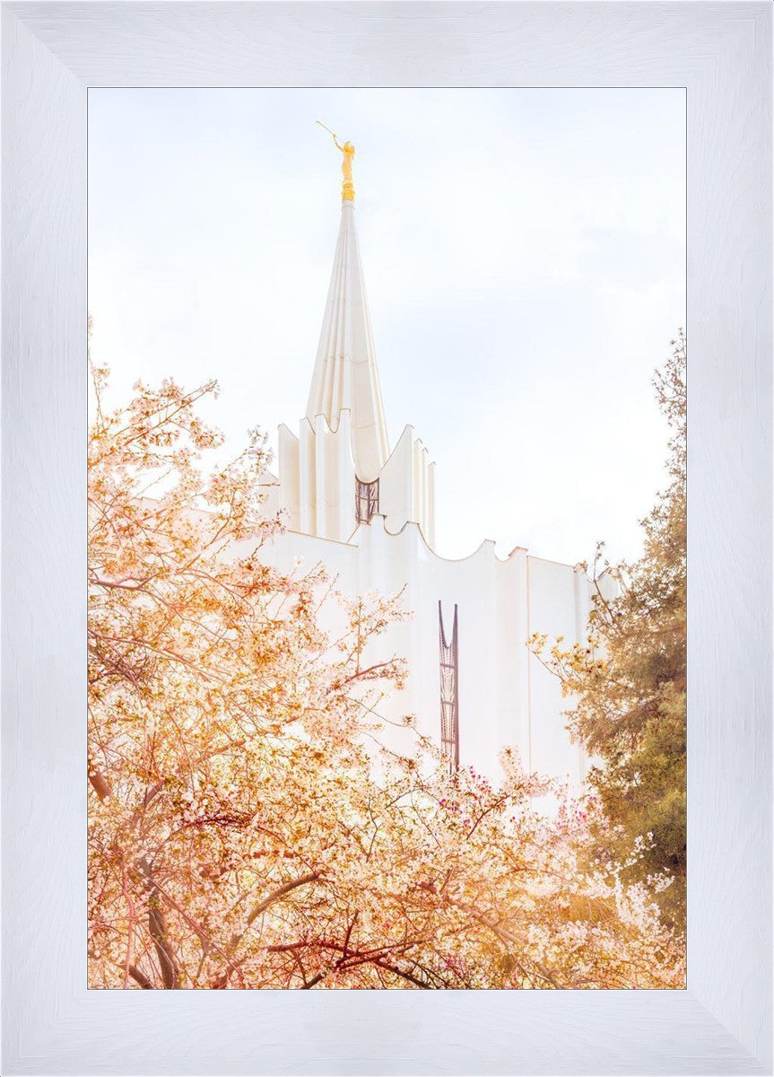 Jordan River Spring Blossoms