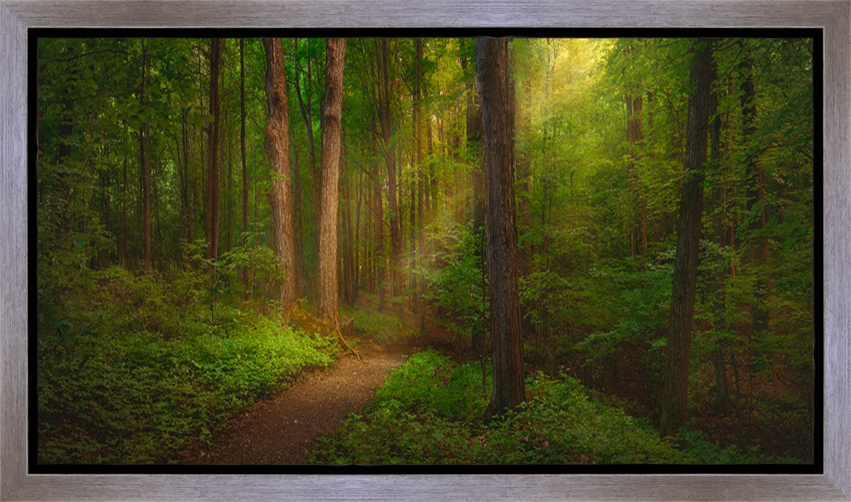 Sacred Grove Gallery Wrap