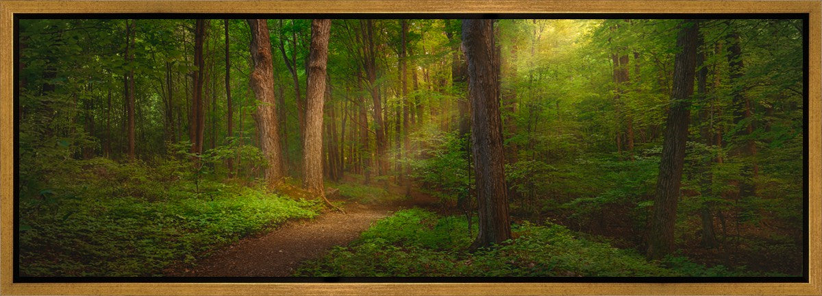 Sacred Grove Gallery Wrap