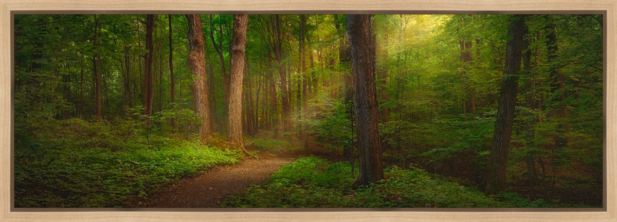 Sacred Grove Gallery Wrap