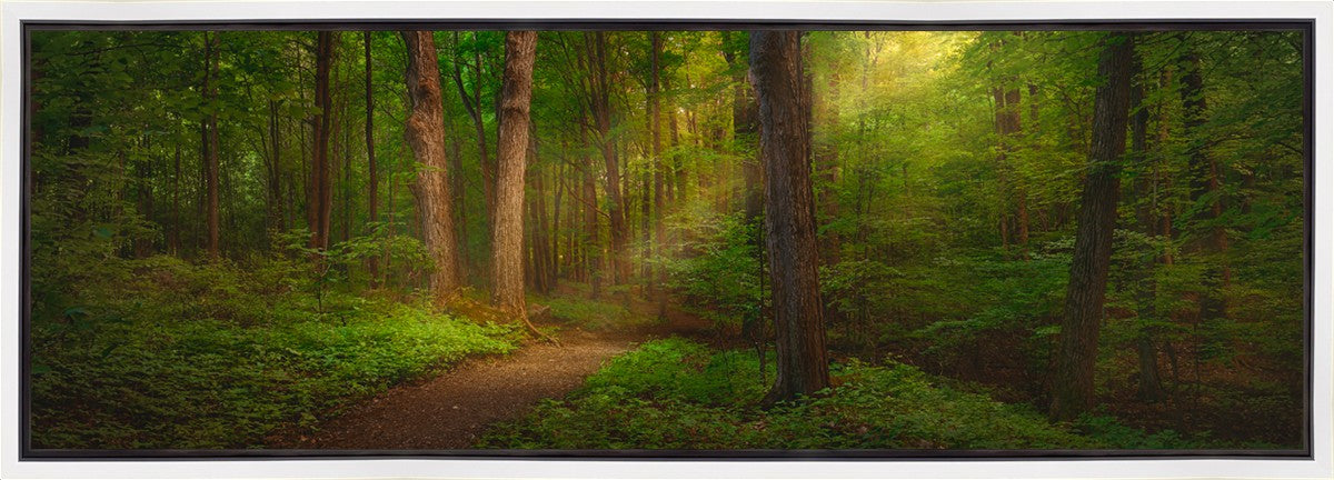 Sacred Grove Gallery Wrap