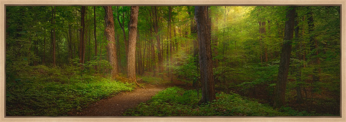 Sacred Grove Gallery Wrap