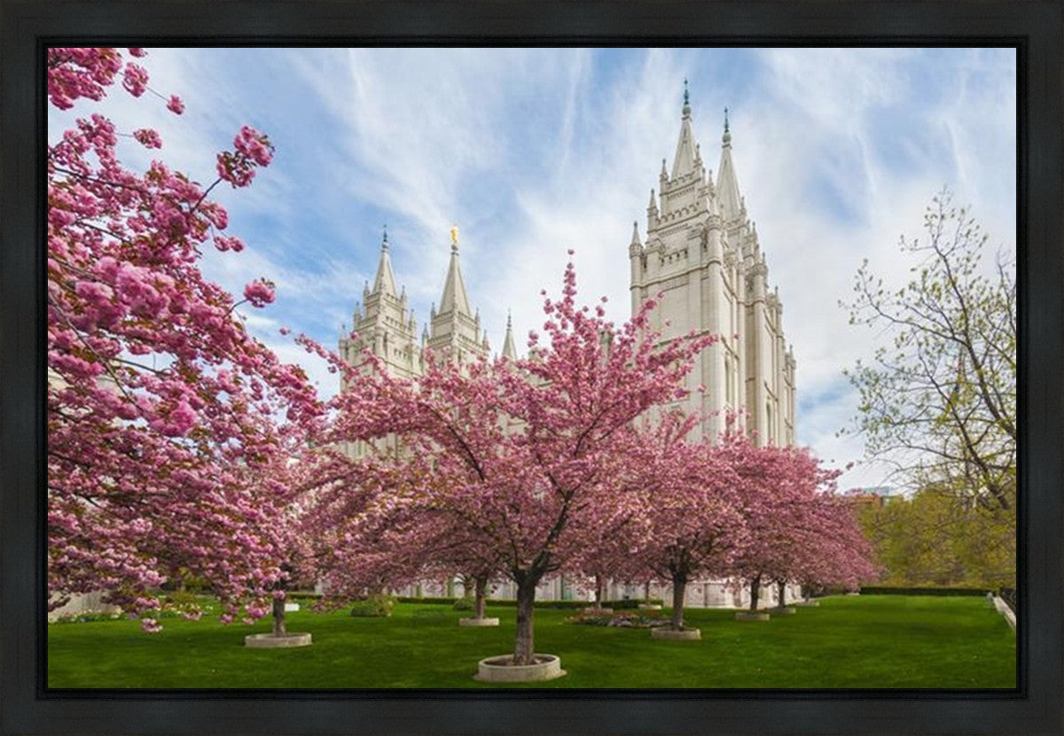 Salt Lake Spring Blossoms Gallery Wrap