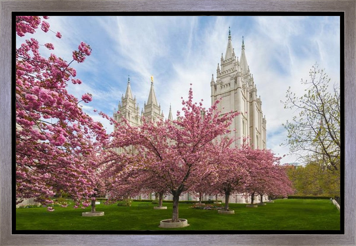 Salt Lake Spring Blossoms Gallery Wrap