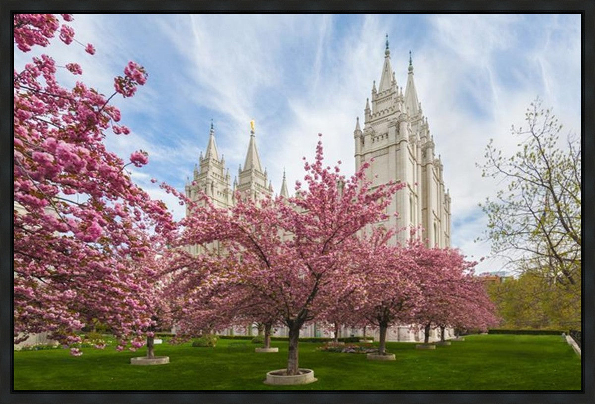 Salt Lake Spring Blossoms Gallery Wrap