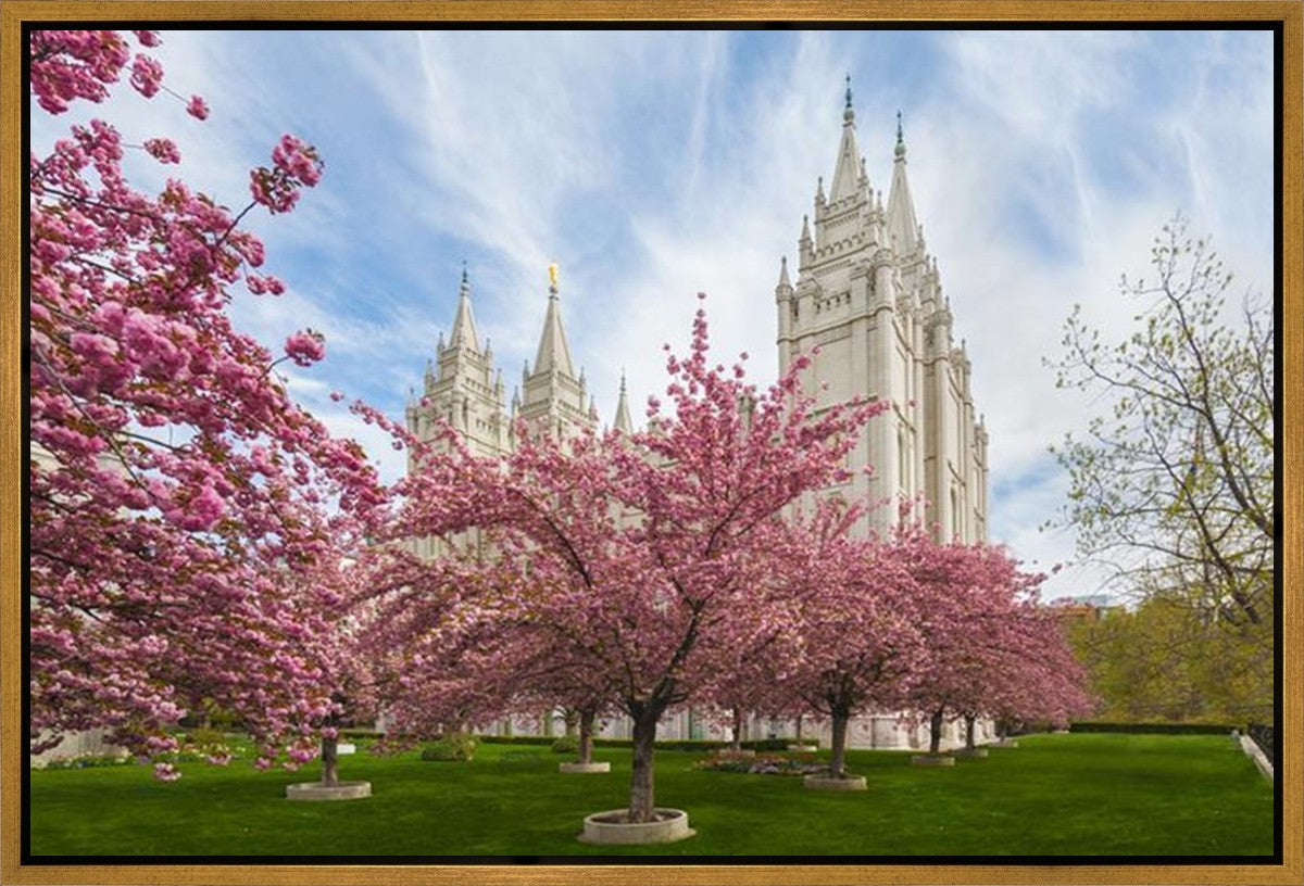 Salt Lake Spring Blossoms Gallery Wrap