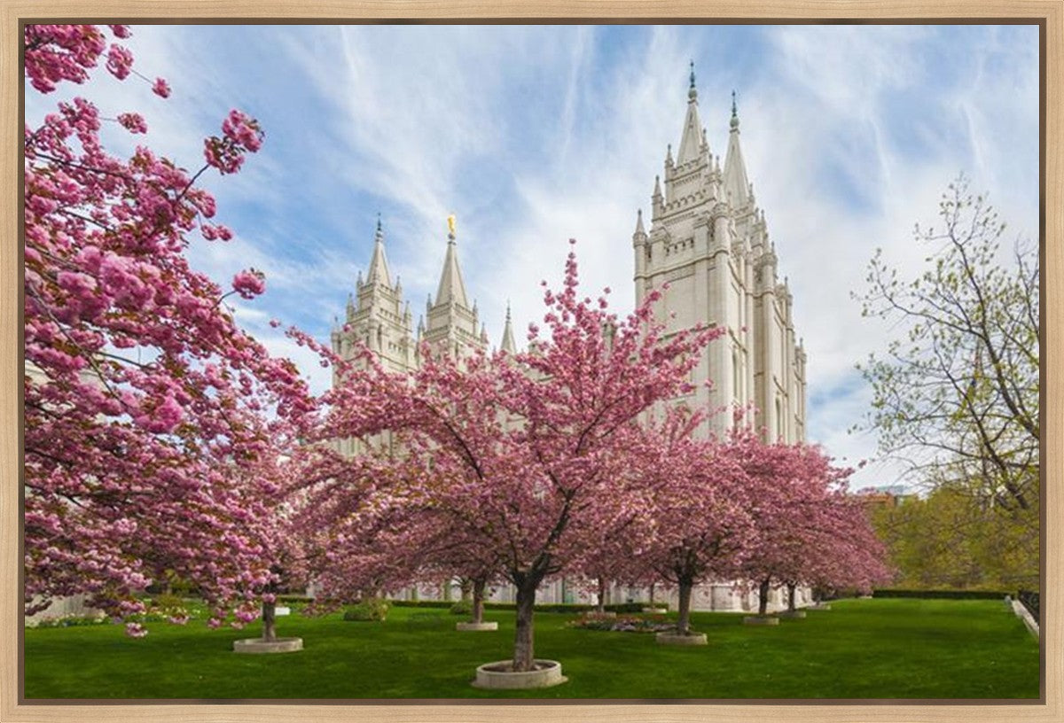 Salt Lake Spring Blossoms Gallery Wrap