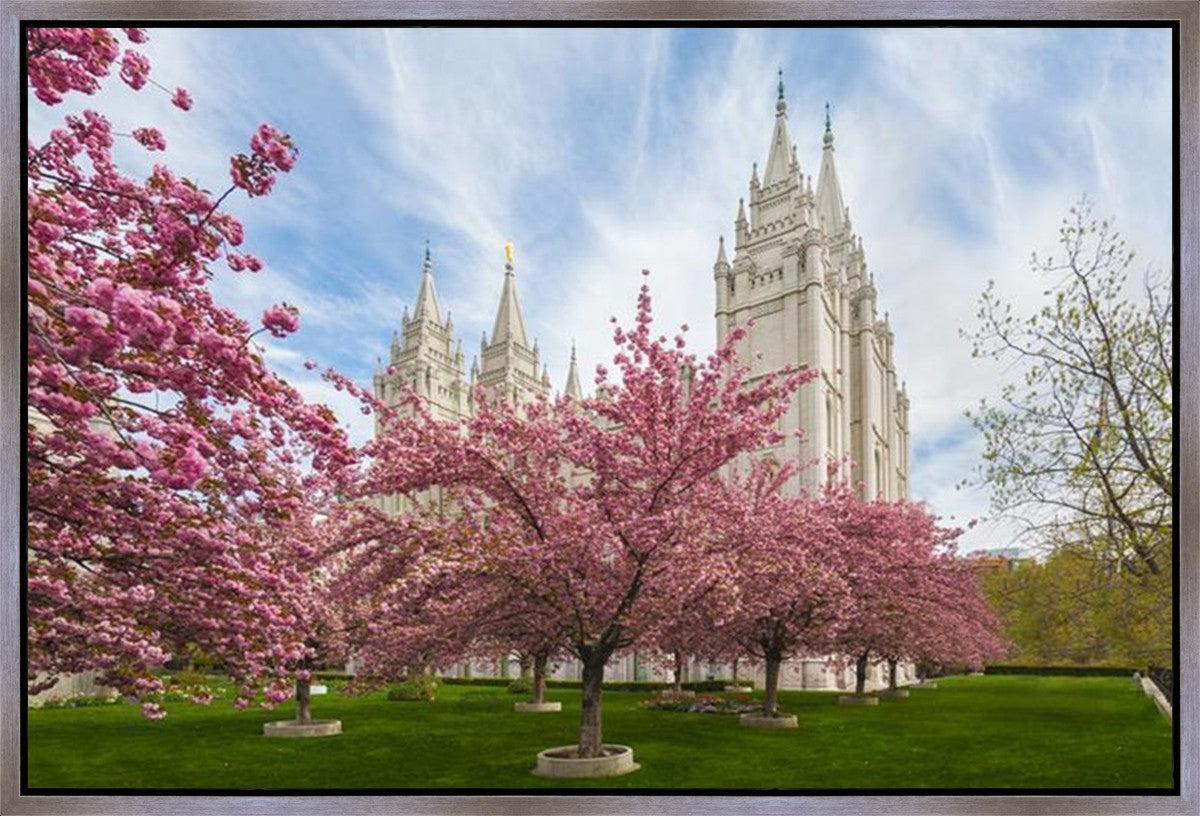 Salt Lake Spring Blossoms Gallery Wrap