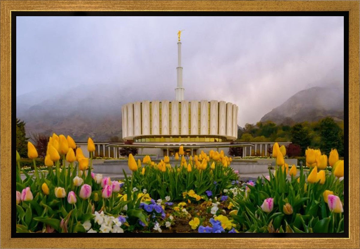 Provo Spring Tulips Gallery Wrap