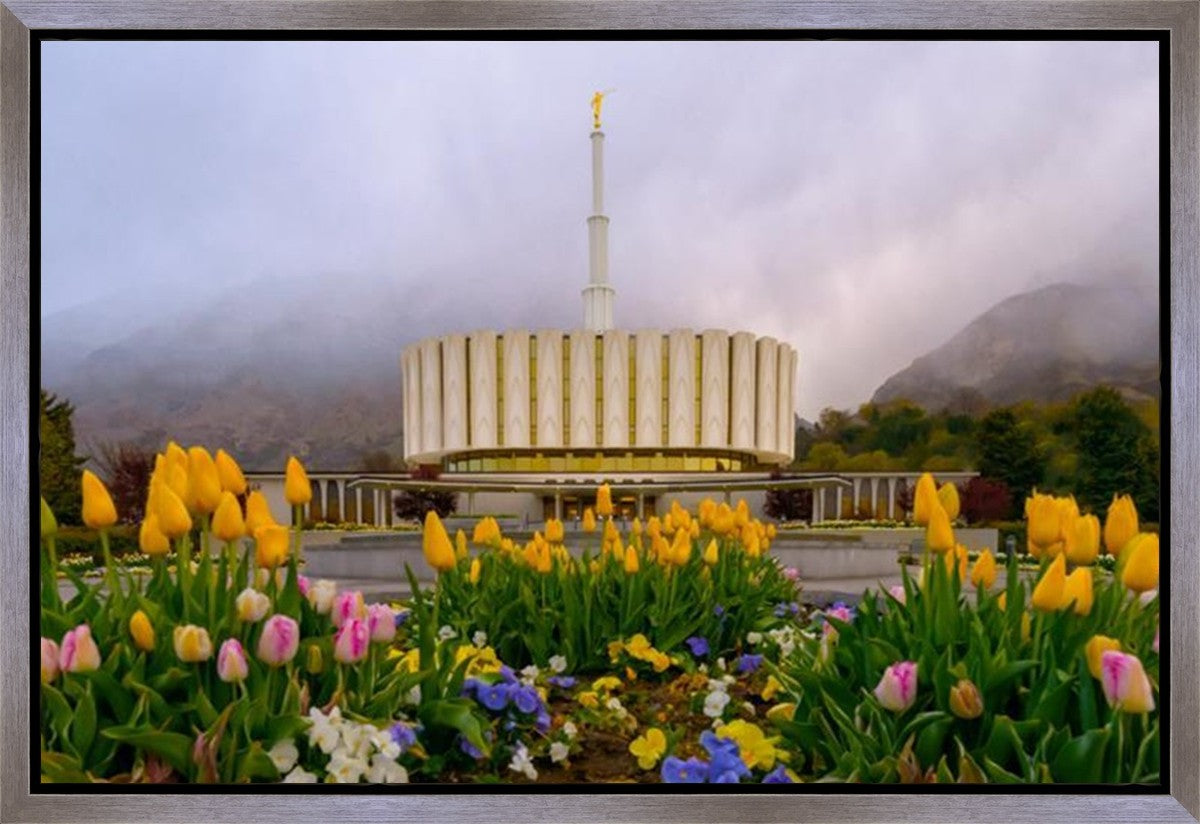 Provo Spring Tulips Gallery Wrap