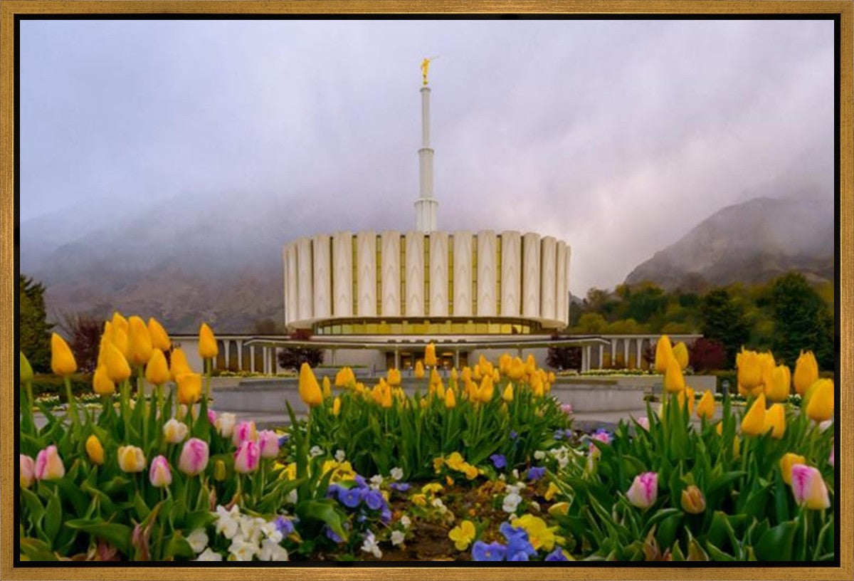 Provo Spring Tulips Gallery Wrap