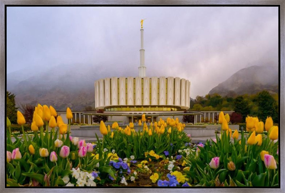 Provo Spring Tulips Gallery Wrap
