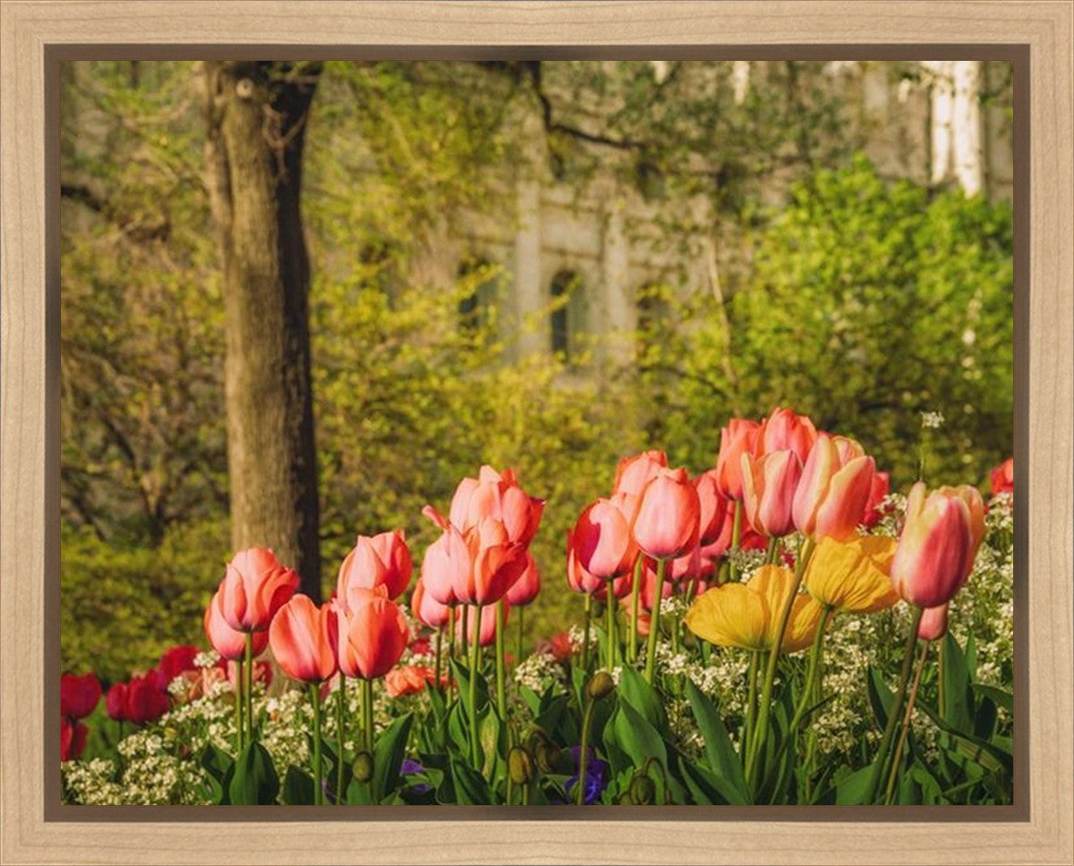 Salt Lake In The Garden Gallery Wrap