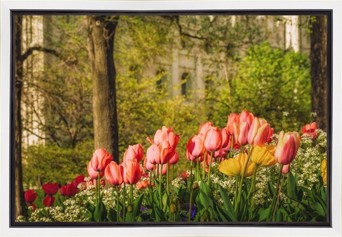Salt Lake In The Garden Gallery Wrap