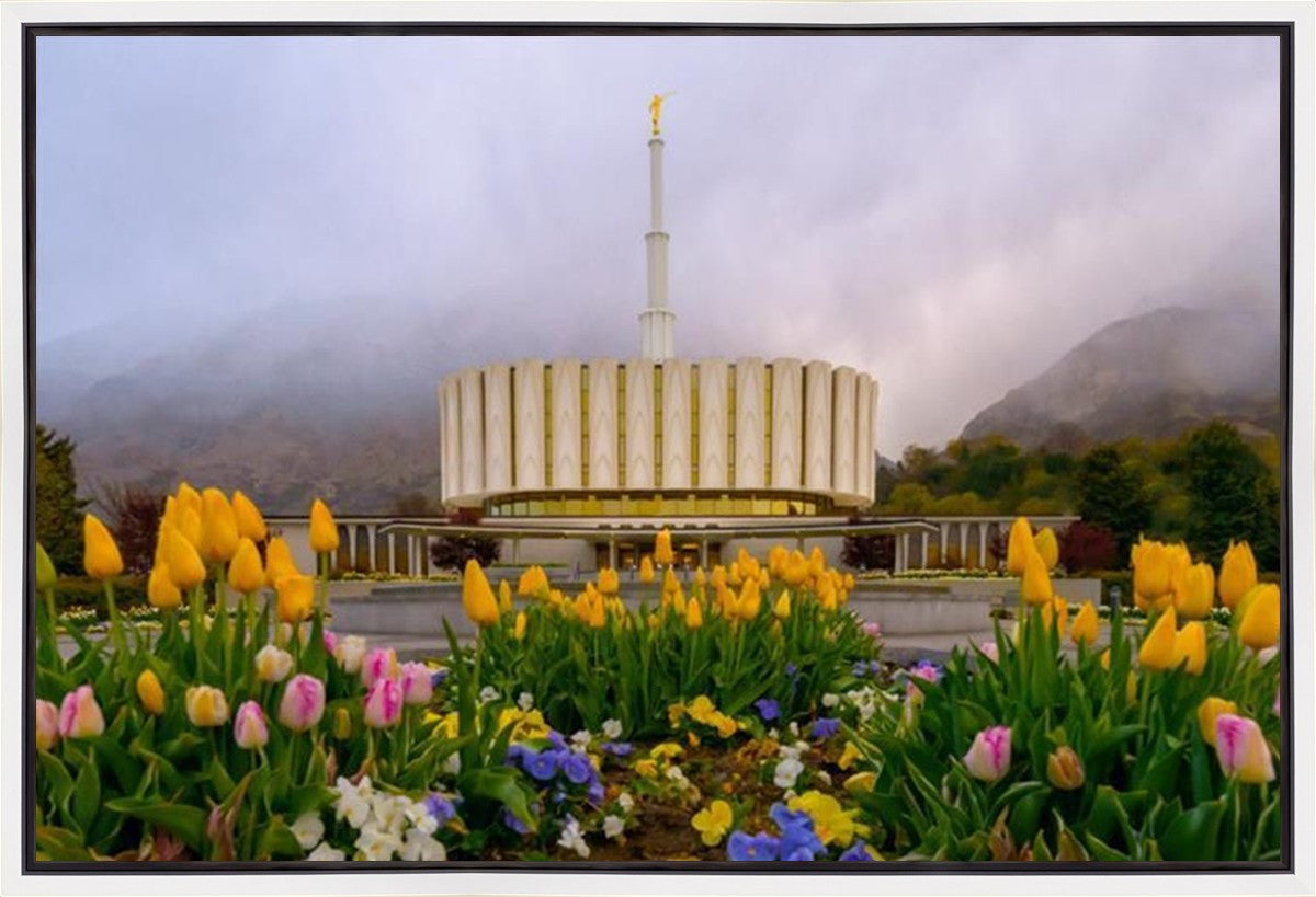 Provo Spring Tulips Gallery Wrap