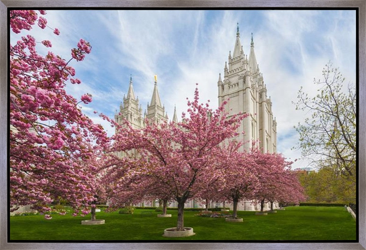 Salt Lake Spring Blossoms Gallery Wrap