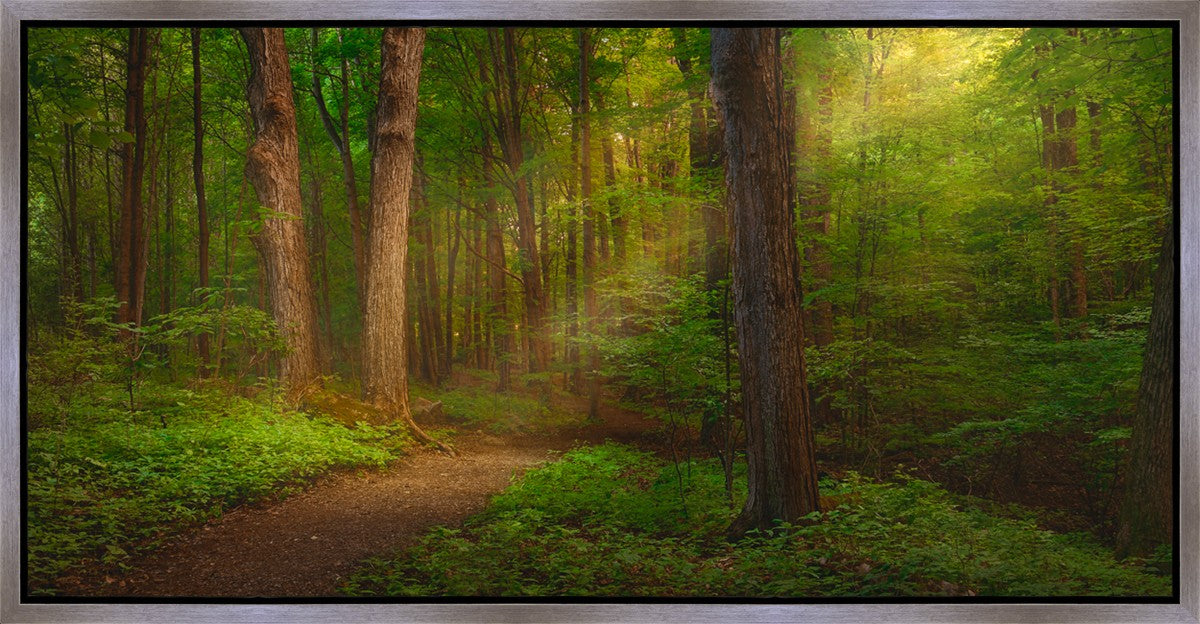 Sacred Grove Gallery Wrap
