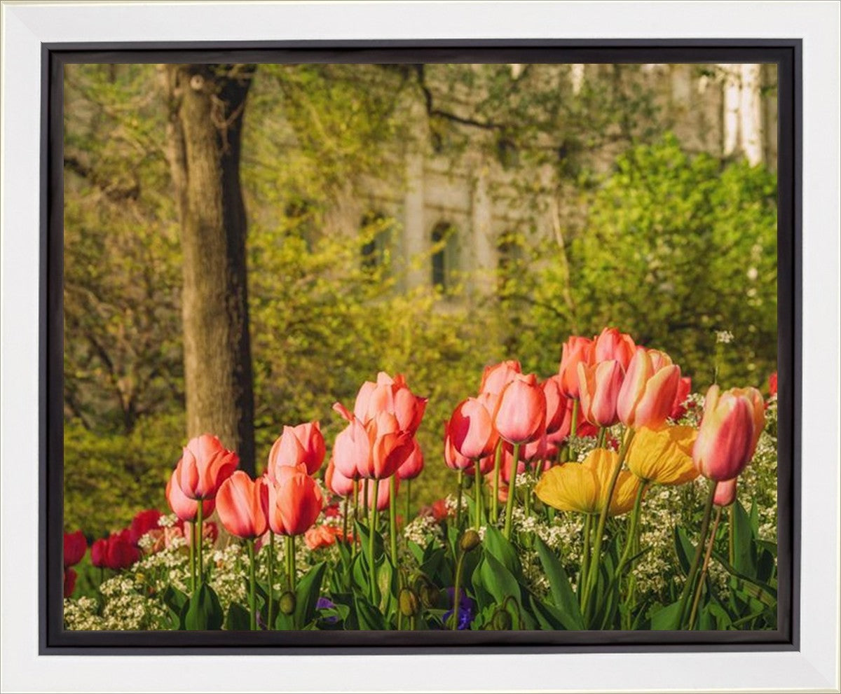 Salt Lake In The Garden Gallery Wrap