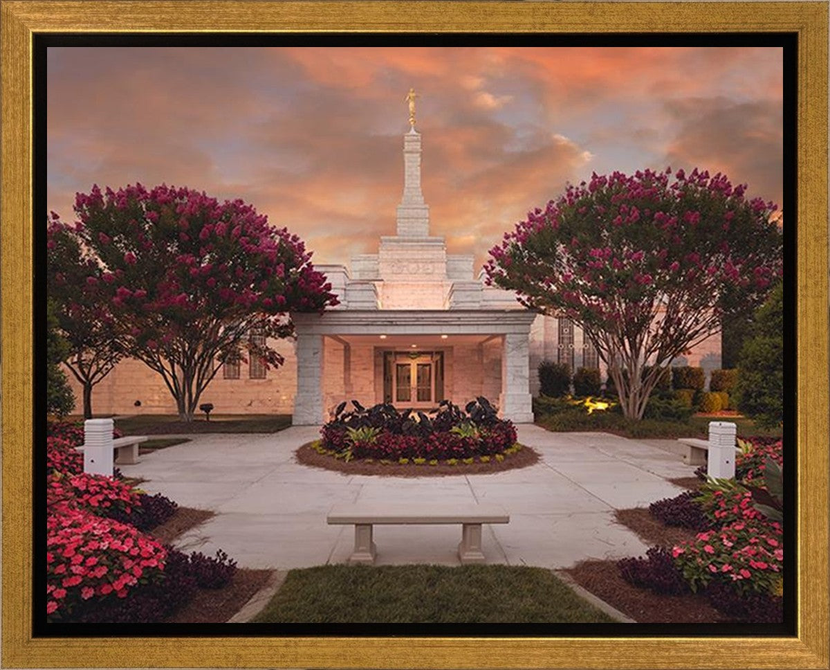 Raleigh Splendor Gallery Wrap