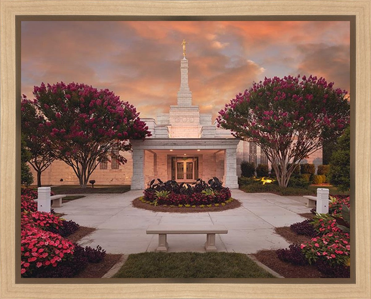 Raleigh Splendor Gallery Wrap