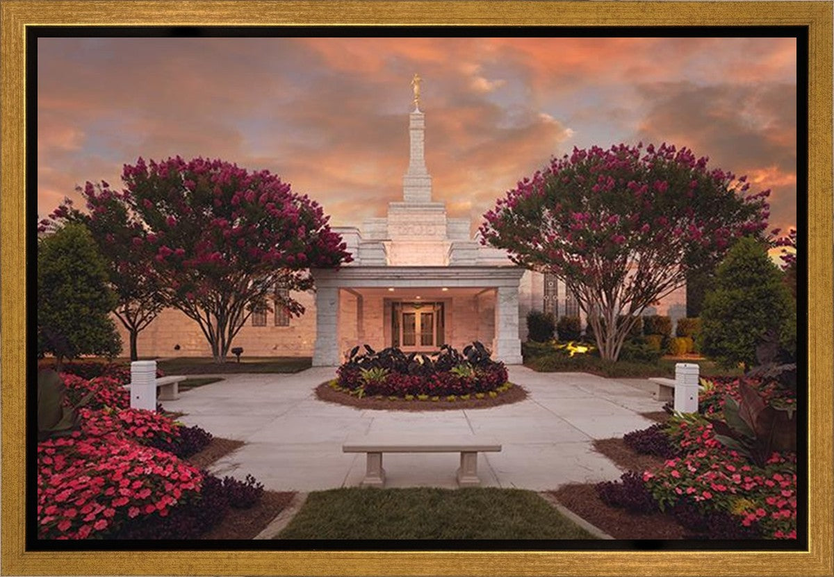 Raleigh Splendor Gallery Wrap