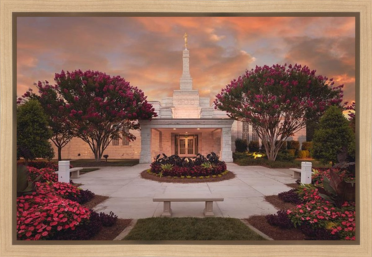 Raleigh Splendor Gallery Wrap