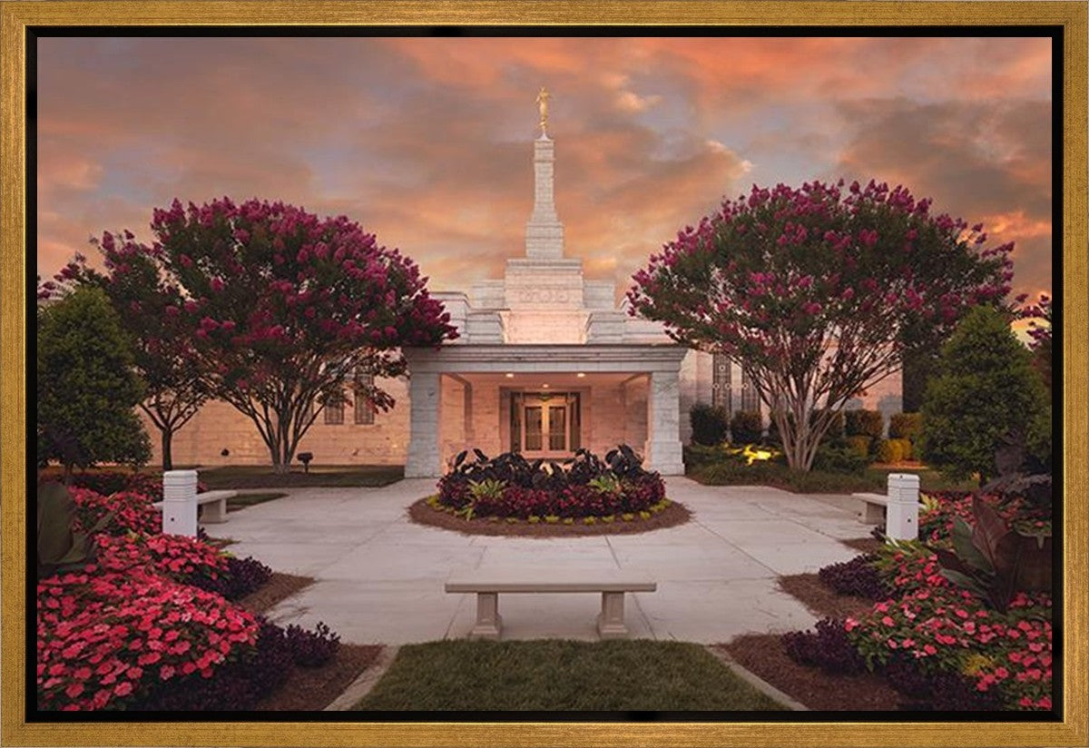 Raleigh Splendor Gallery Wrap