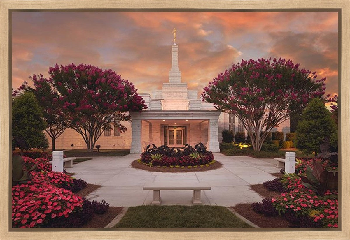 Raleigh Splendor Gallery Wrap