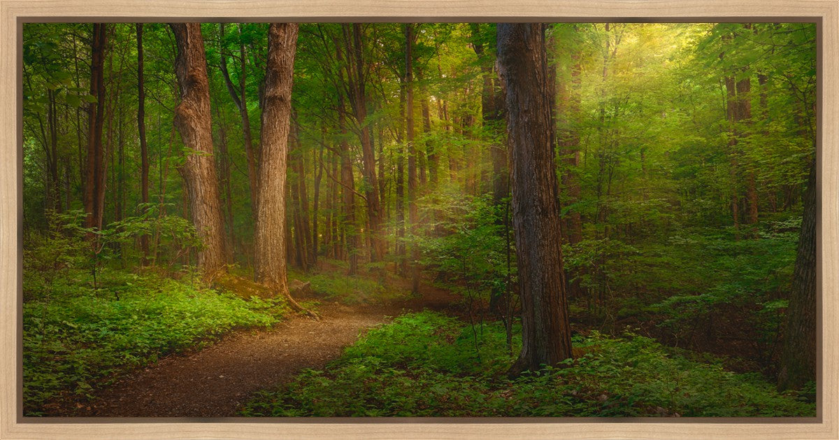 Sacred Grove Gallery Wrap