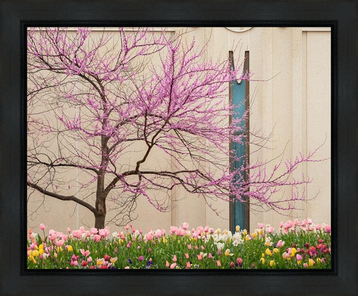 Jordan River Awakening Gallery Wrap