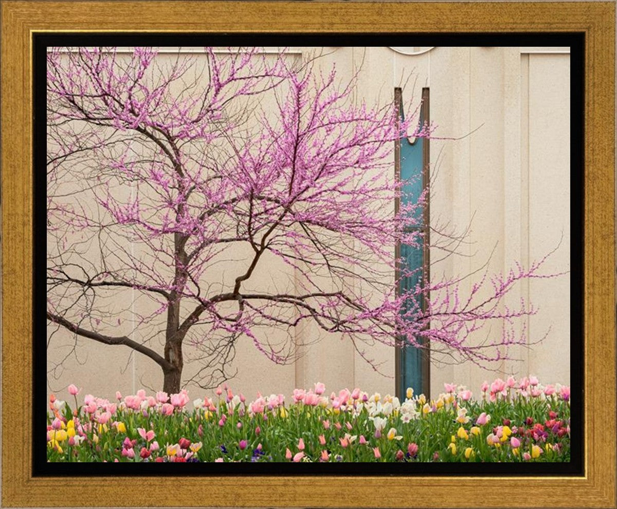 Jordan River Awakening Gallery Wrap