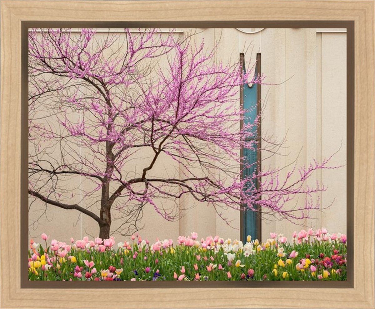 Jordan River Awakening Gallery Wrap
