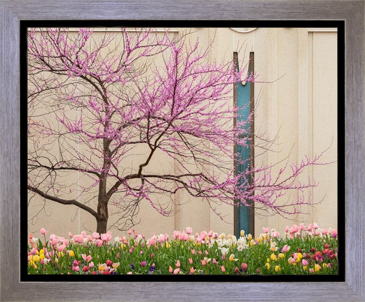 Jordan River Awakening Gallery Wrap