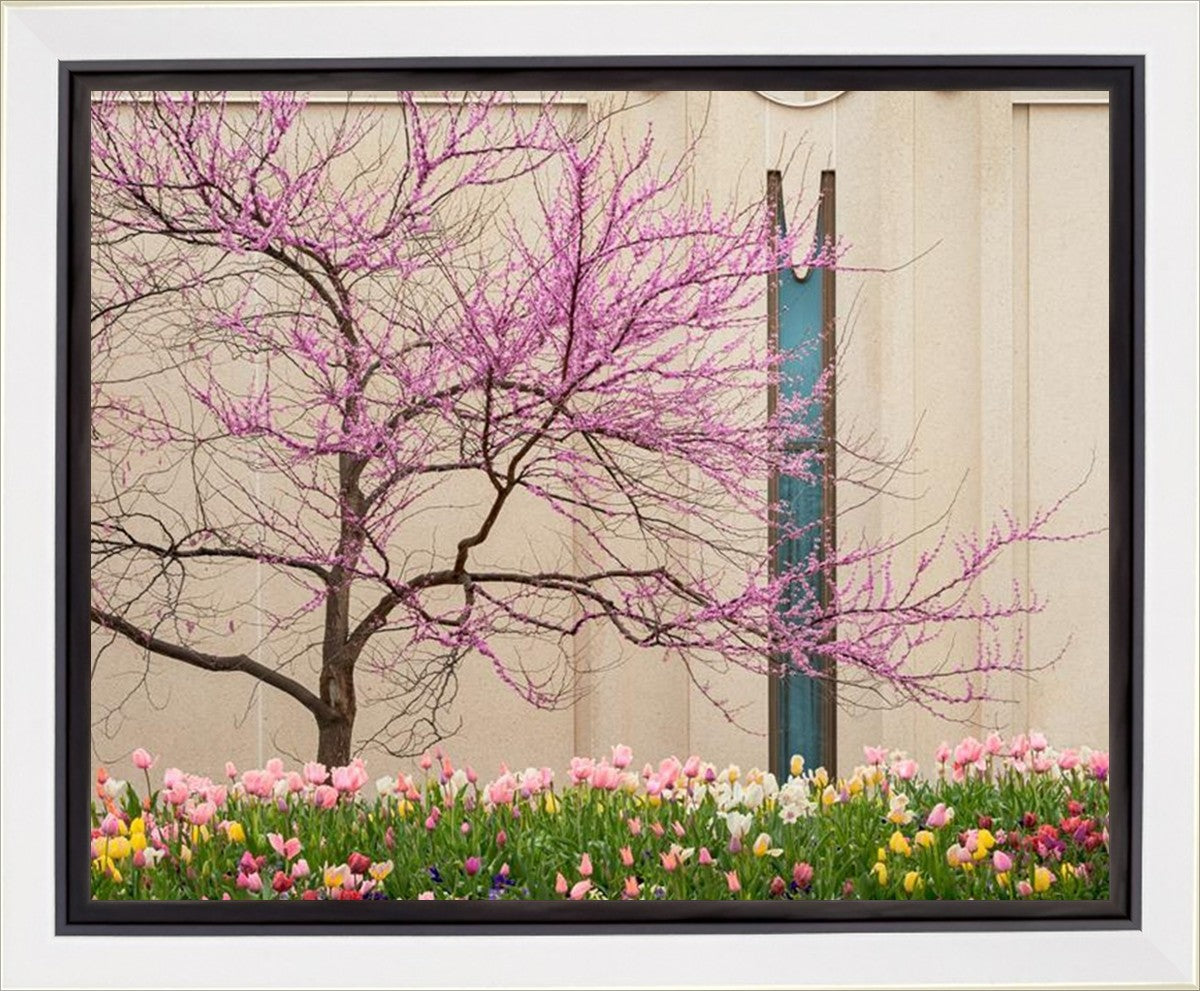 Jordan River Awakening Gallery Wrap